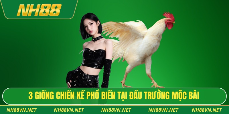 3 giống chiến kế phổ biến tại đấu trường Mộc Bài
