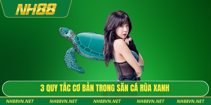 3 quy tắc cơ bản trong săn cá rùa xanh