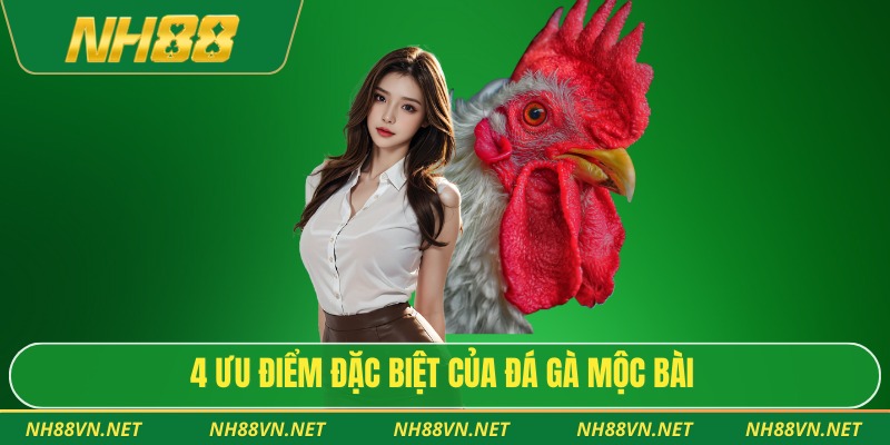 4 ưu điểm đặc biệt của đá gà Mộc Bài