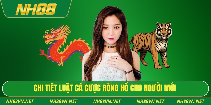 Chi tiết luật cá cược rồng hổ cho người mới