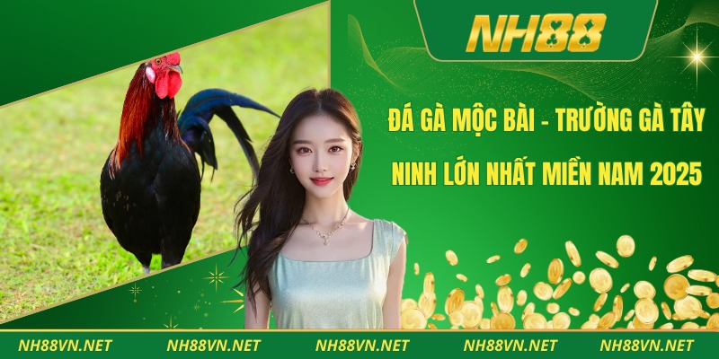 Đá Gà Mộc Bài