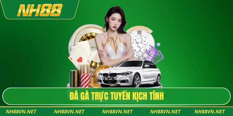 Đá gà trực tuyến kịch tính