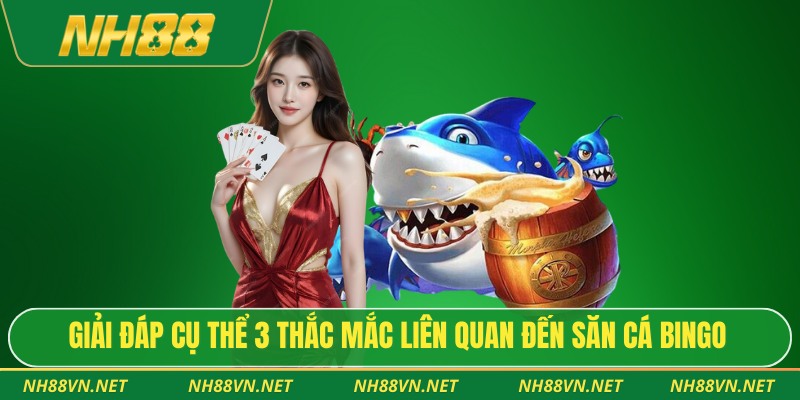 Giải đáp cụ thể 3 thắc mắc liên quan đến săn cá Bingo