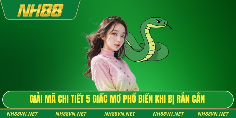 Giải mã chi tiết 5 giấc mơ phổ biến khi bị rắn cắn