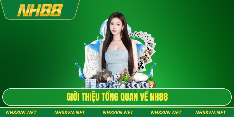 Giới thiệu tổng quan về NH88