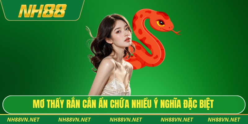 Mơ thấy rắn cắn ẩn chứa nhiều ý nghĩa đặc biệt