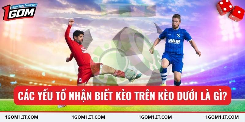 Các yếu tố nhận biết kèo trên kèo dưới là gì?